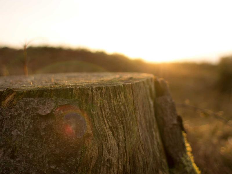 sudoku pattern learning screenshot 1